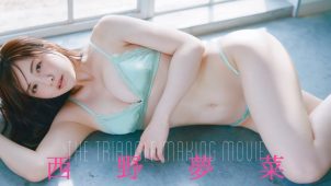 【西野夢菜】Fカップ6　週刊プレイボーイ！1月19日発売！グラビア動画！水着姿を披露！