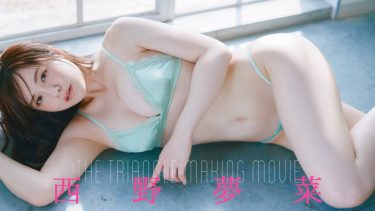 【西野夢菜】Fカップ6　週刊プレイボーイ！1月19日発売！グラビア動画！水着姿を披露！